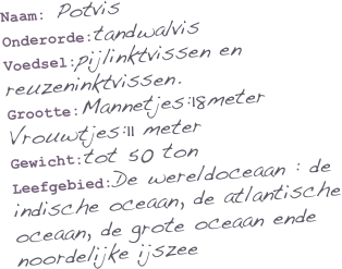 Naam: Potvis
Onderorde:tandwalvis
Voedsel:pijlinktvissen en reuzeninktvissen.
Grootte:Mannetjes:18meter Vrouwtjes:11 meter
Gewicht:tot 50 ton
Leefgebied:De wereldoceaan : de indische oceaan, de atlantische oceaan, de grote oceaan ende noordelijke ijszee

