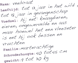 Naam: veelvraat
Leeftijd: tot 13 jaar in het wild , tot 18 jaar in gevangenschap
Voedsel: hij eet: knaagdieren, eieren, ongewervelde en aas maar hoewel het een vleeseter is eet hij ook bessen en vruchten
Familie:marterachtige
Schouderhoogte:40 tot45 cm
gewicht:9 tot 30 kg

